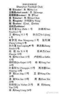 足球海外爆料最新消息新闻,足球海外动态，揭秘赛场幕后风云